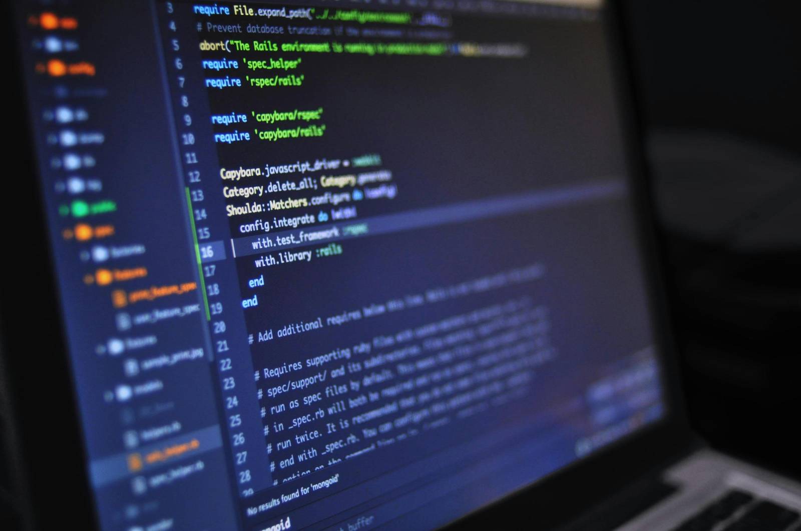 Software Development Team